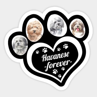 Havanese forever Sticker